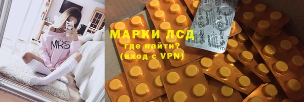 стаф Аркадак