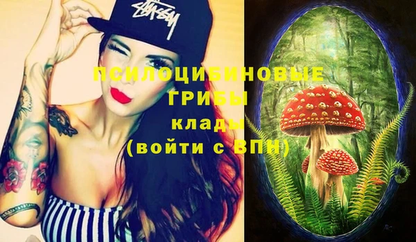 стаф Аркадак