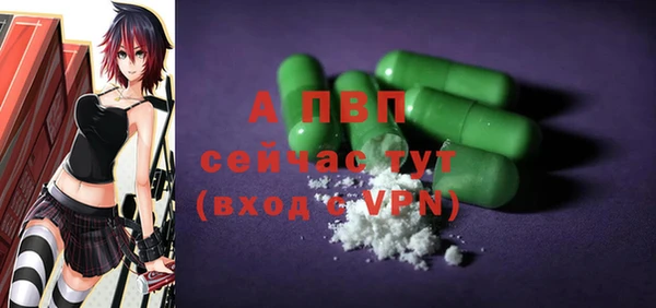 стаф Аркадак