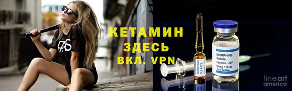стаф Аркадак