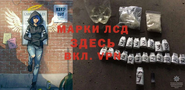 стаф Аркадак