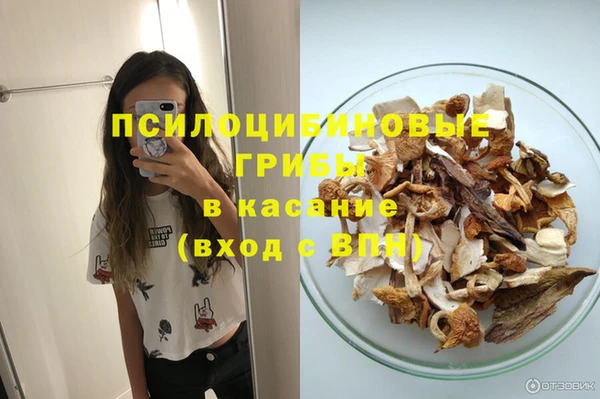 дмт Армянск