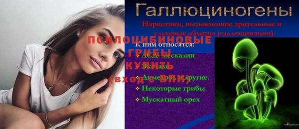 стаф Аркадак
