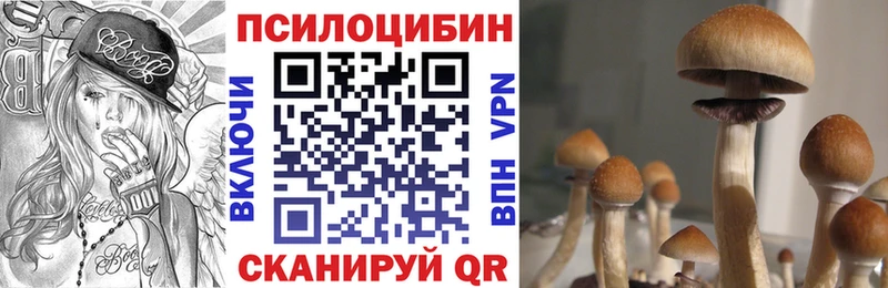 Псилоцибиновые грибы GOLDEN TEACHER  Сорочинск 